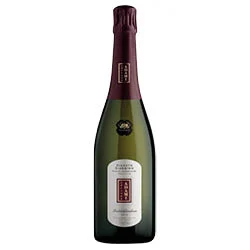 Valdobbiadene Prosecco Superiore DOCG Rive di Colbertaldo Dry Vigneto Giardino 2025 Adami
