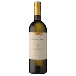 Südtirol - Alto Adige DOC Pinot Grigio Castel Ringberg 2024 Elena Walch