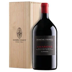 Amarone della Valpolicella Classico DOCG 2021 Domini Veneti