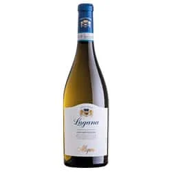Lugana DOC Oasi Mantellina 2025 Allegrini