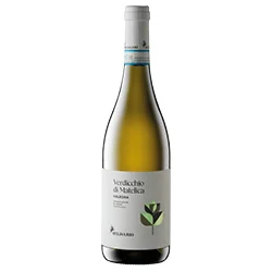 Verdicchio di Matelica DOC Valbona 2025 Belisario
