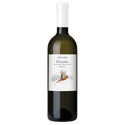 Bolgheri Bianco DOC 2025 Campo al Faro