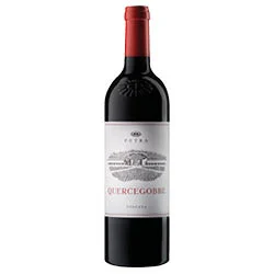 Toscana IGT Merlot Quercegobbe 2024 Petra