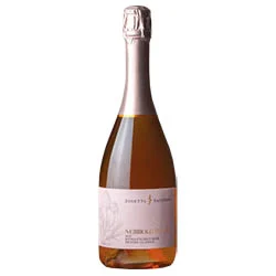Nebbiolo d’Alba DOC Spumante Metodo Classico Brut Rosé 2021 Josetta Saffirio
