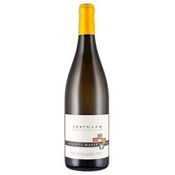 Derthona 2024 Vigneti Massa