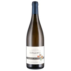Derthona Costa del Vento 2023 Vigneti Massa