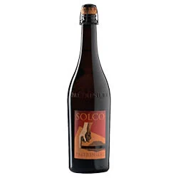 Emilia Lambrusco IGT Solco 2025 Paltrinieri