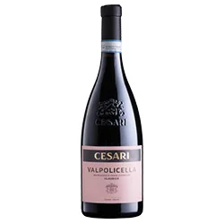 Valpolicella DOC Classico 2024 Gerardo Cesari