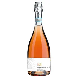 Nebbiolo d'Alba DOC Spumante Metodo Classico Brut Rosé Ruj 2021 San Silvestro