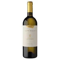 Südtirol - Alto Adige DOC Sauvignon Vigna Castel Ringberg 2024 Elena Walch