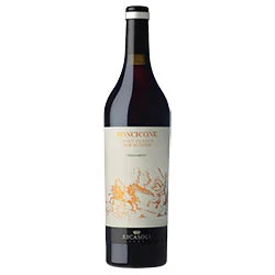 Chianti Classico Gran Selezione DOCG Roncicone 2021 Ricasoli 1141