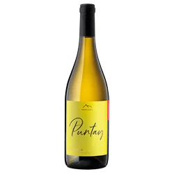 Südtirol - Alto Adige DOC Puntay Sauvignon 2023 Erste Neue