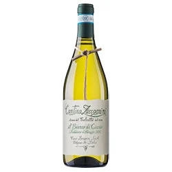 Trebbiano d'Abruzzo DOC Il Bianco di Ciccio 2025 Zaccagnini