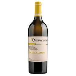 Irpinia DOC Falanghina Via del Campo 2025 Quintodecimo
