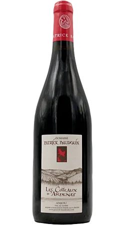 Domaine Patrick Baudouin - Les Coteaux d'Ardenay 2017 - Anjou