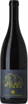 Peternell Auf Der Flucht 2021 - Bodega Kollektiv Peternell