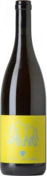 Peternell Risque Ruzový 2022 Magnum - Bodega Kollektiv Peternell