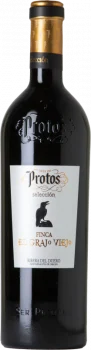 Protos Finca El Grajo Viejo 2018 - Bodega Bodegas Protos