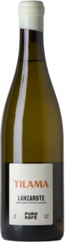 Puro Rofe Tilama 2023 - Bodega Puro Rofe