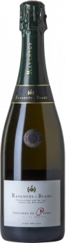 Raventós i Blanc Textures de Pedra 2018 - Bodega Raventós i Blanc