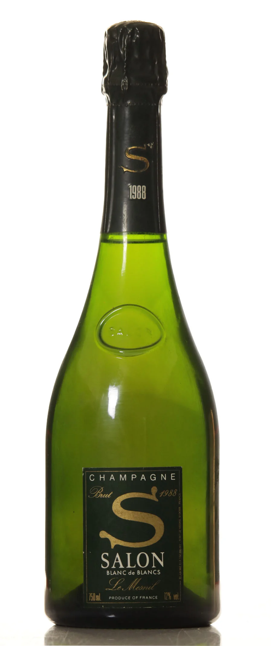 Salon S Le Mesnil 1988