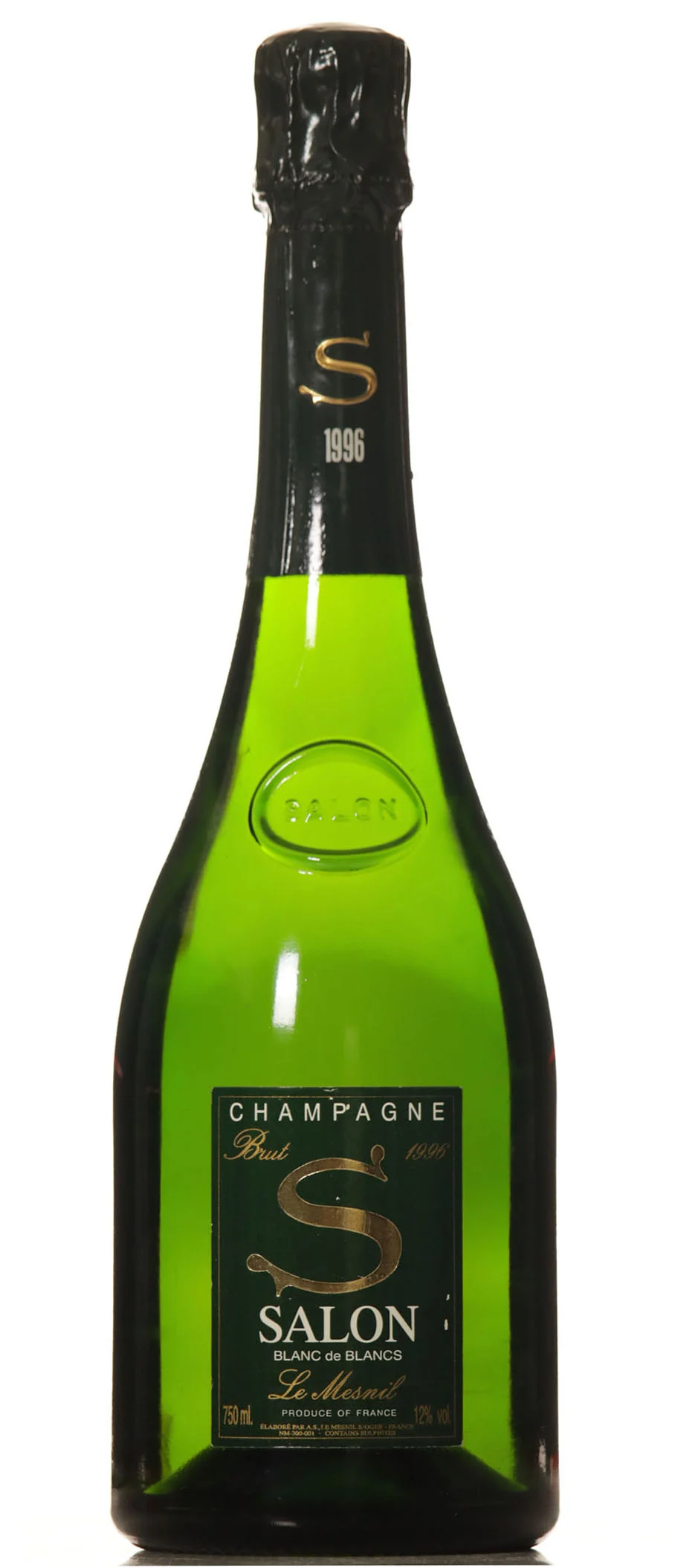 Salon S Le Mesnil 1996