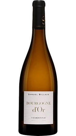 Domaine Samuel Billaud - Bourgogne d'Or 2023 - Bourgogne Blanc