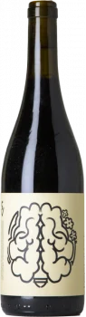 Succés Vinícola Feedback 2020 - Bodega Succés Vinícola