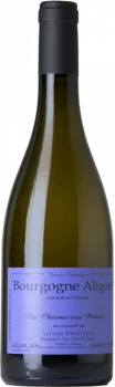 Sylvain Pataille Bourgogne Aligoté La Charme aux Prêtres 2021 - Bodega Sylvain Pataille