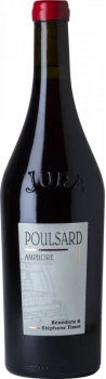 Tissot Arbois Poulsard En Amphore 2022 - Bodega André et Mireille Tissot