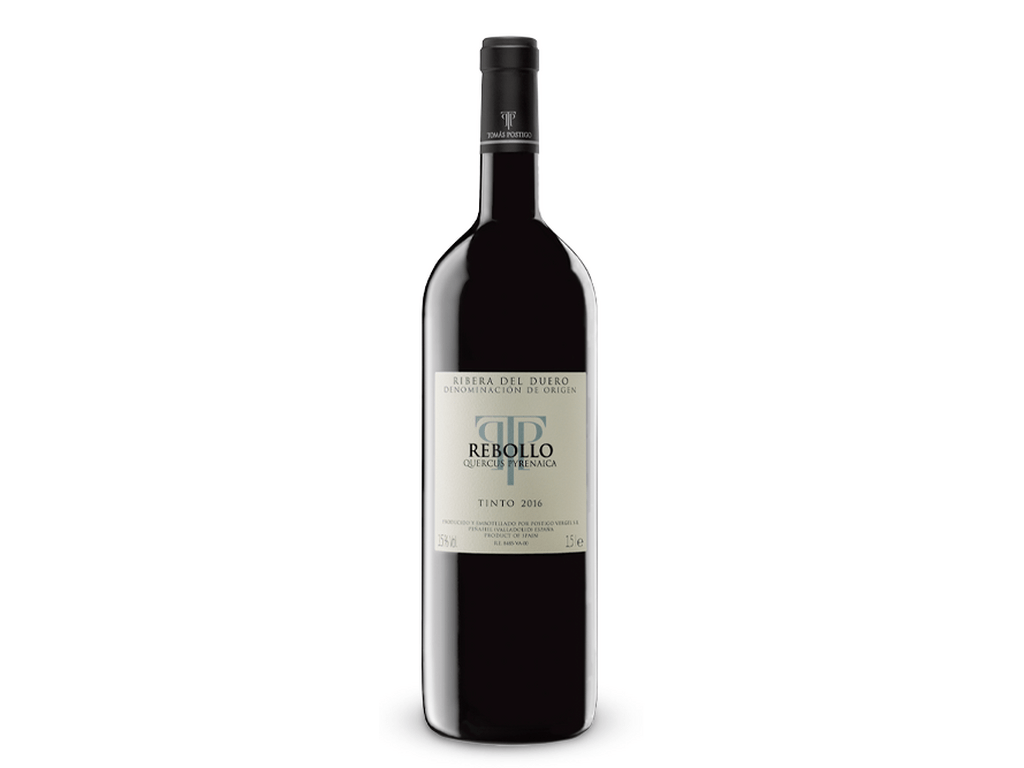 Tomas Postigo Rebollo 2019